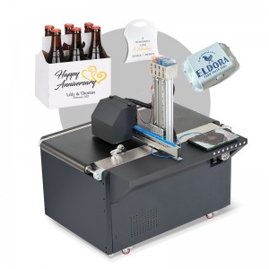 One Pass Printer for Carton